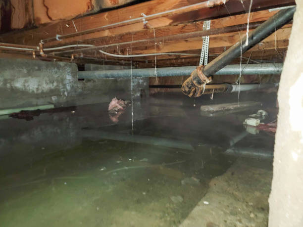 Ocean City, FL Water damage restoration Company