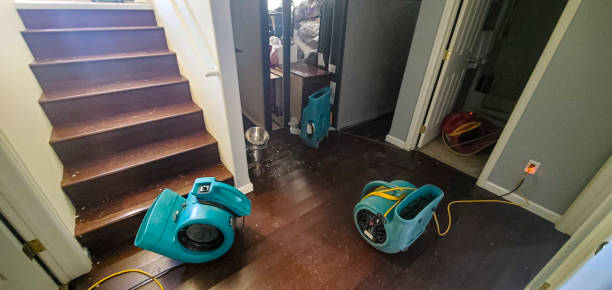 Best Mold removal after water damage  in Ocean City, FL