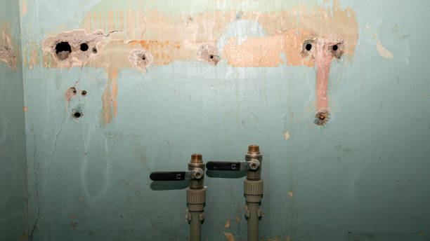 Best Flooded house restoration  in Ocean City, FL
