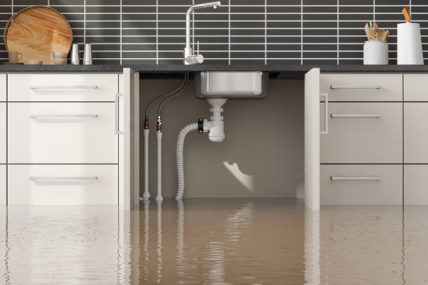 Carpet water damage restoration in Ocean City, FL
